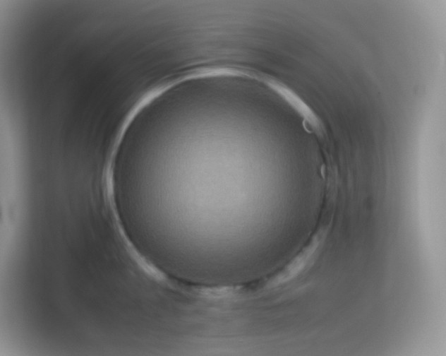 X0000113310813200909281123