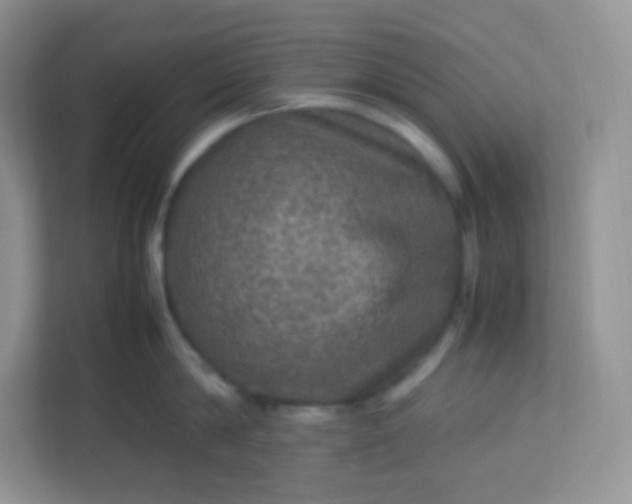 X0000113310814200909281123