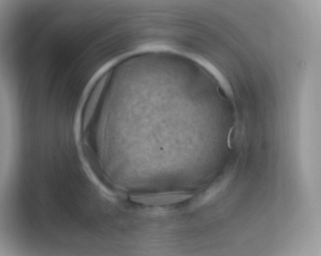 X0000113310815200909281123