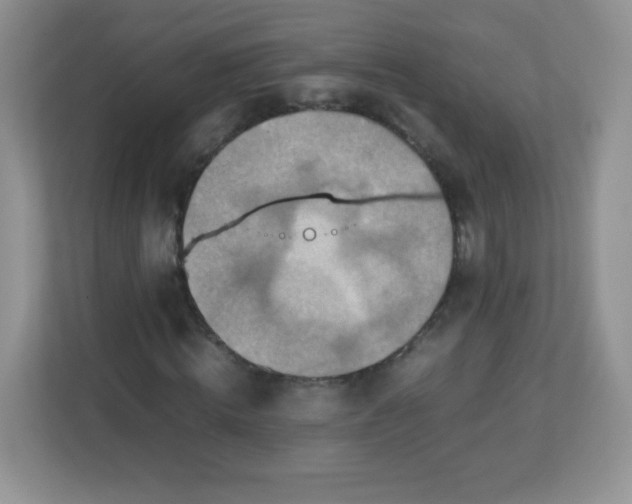 X0000113310820200909281122