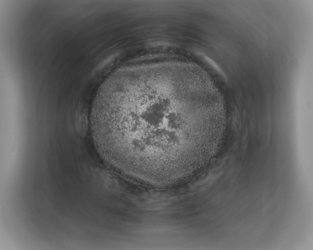 X0000113310821200909281123