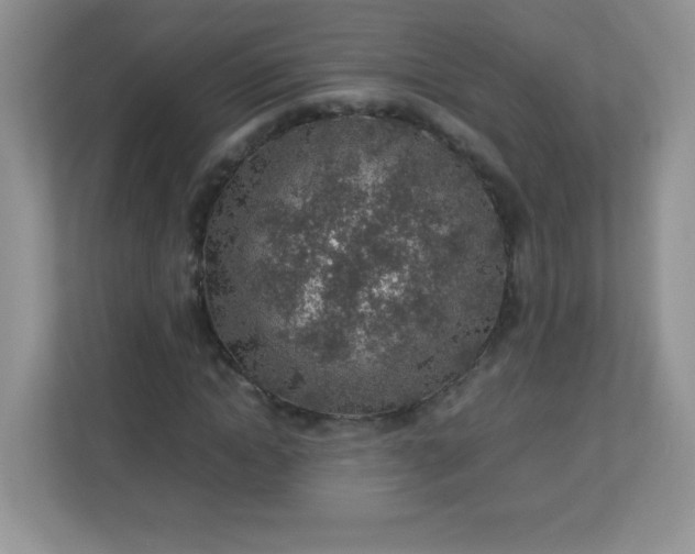 X0000113310822200909281123