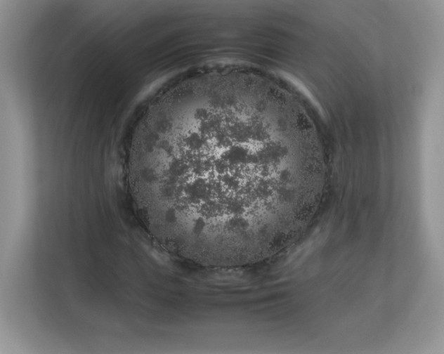 X0000113310823200909281123