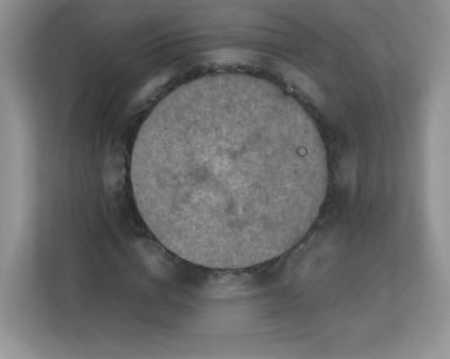 X0000113310824200909281123