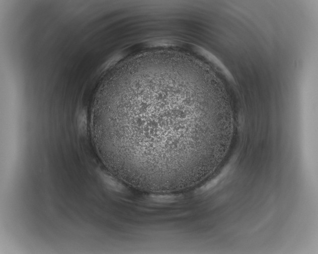 X0000113310825200909281123