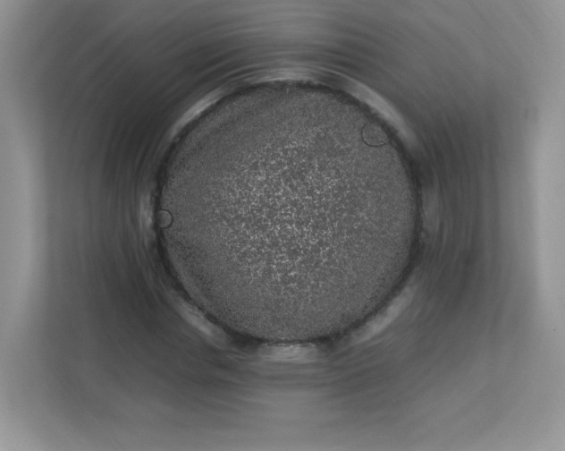 X0000113310826200909281123