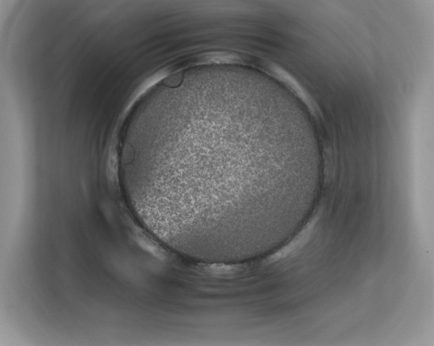 X0000113310827200909281123