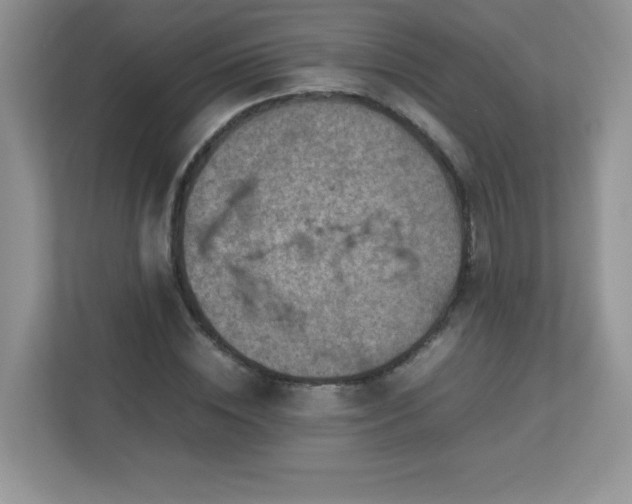 X0000113310828200909281123