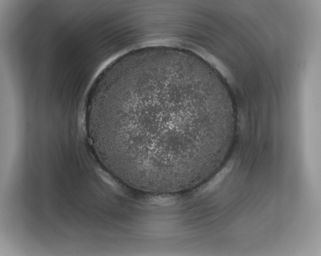 X0000113310830200909281123