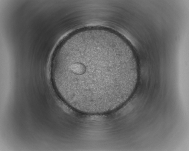 X0000113310832200909281123