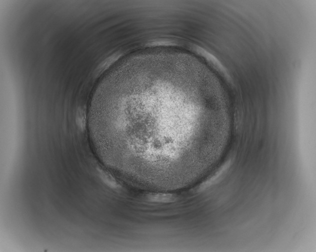 X0000113310833200909281123