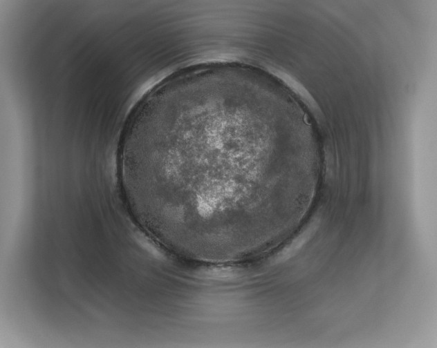 X0000113310834200909281123