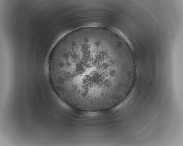 X0000113310835200909281123