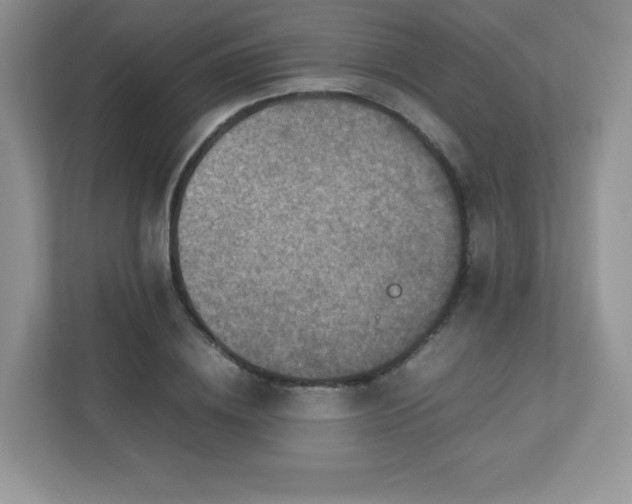 X0000113310836200909281123