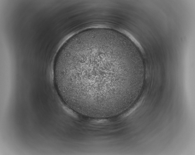 X0000113310837200909281123