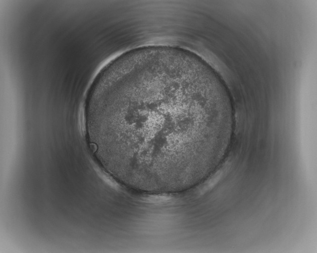 X0000113310838200909281123