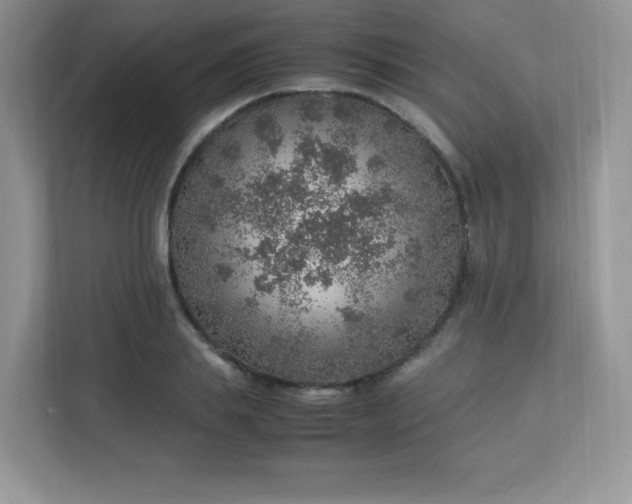 X0000113310839200909281123