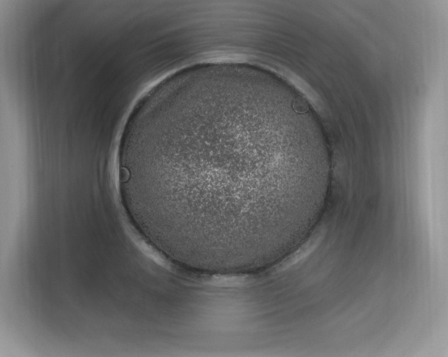 X0000113310840200909281123