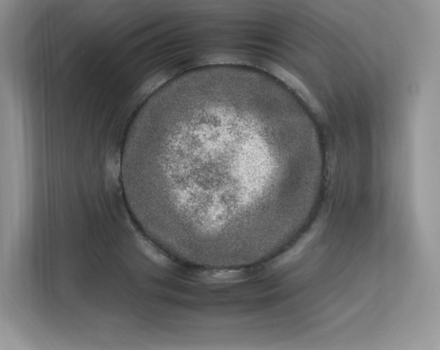 X0000113310841200909281123