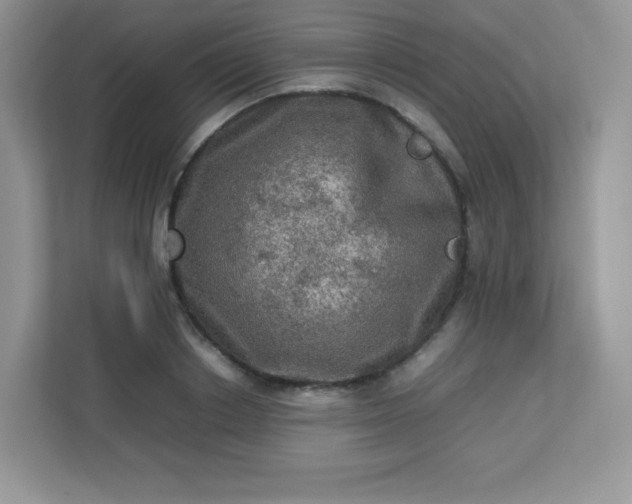 X0000113310842200909281123