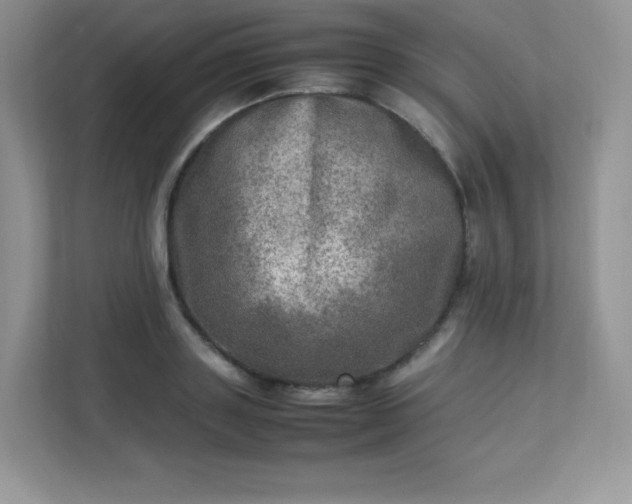 X0000113310843200909281123