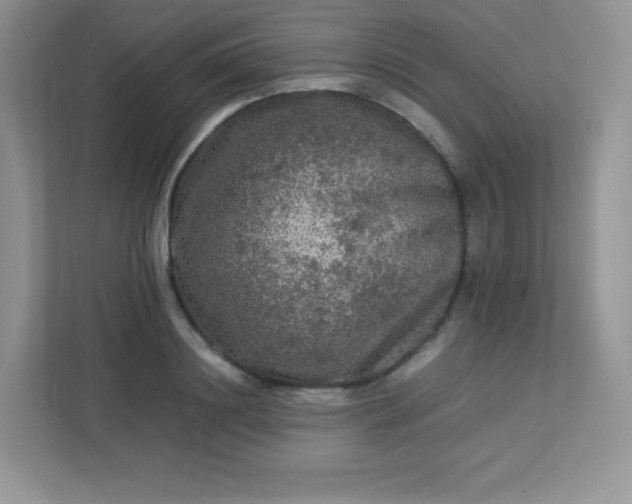 X0000113310844200909281123