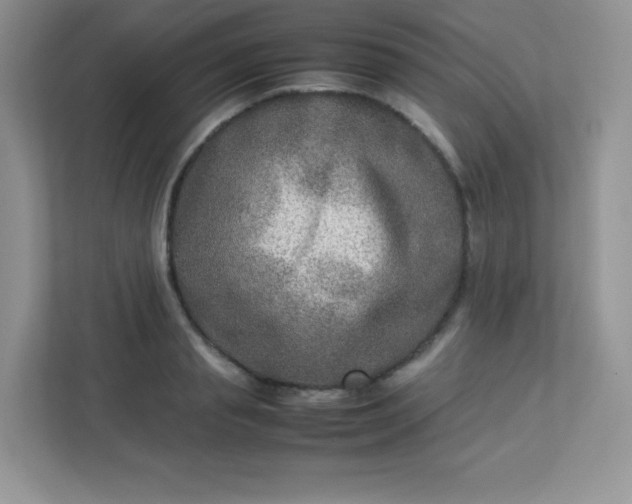 X0000113310845200909281123