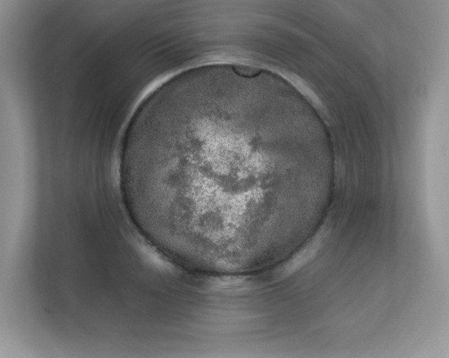 X0000113310846200909281123