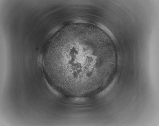 X0000113310849200909281123