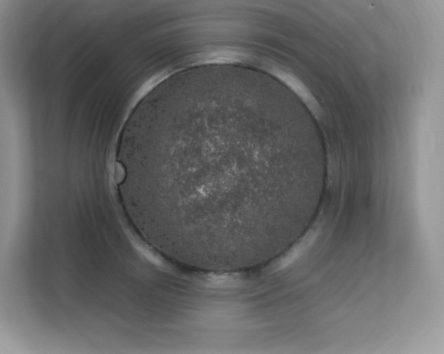 X0000113310850200909281123