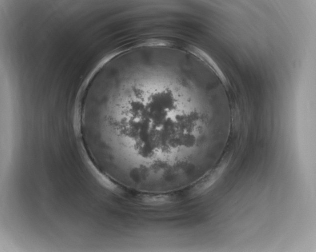 X0000113310851200909281123