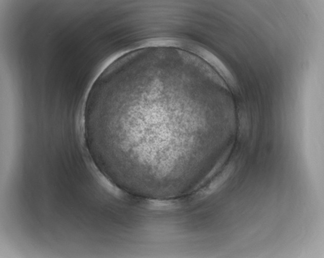 X0000113310852200909281123