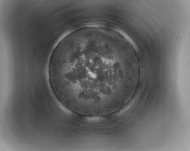 X0000113310853200909281123