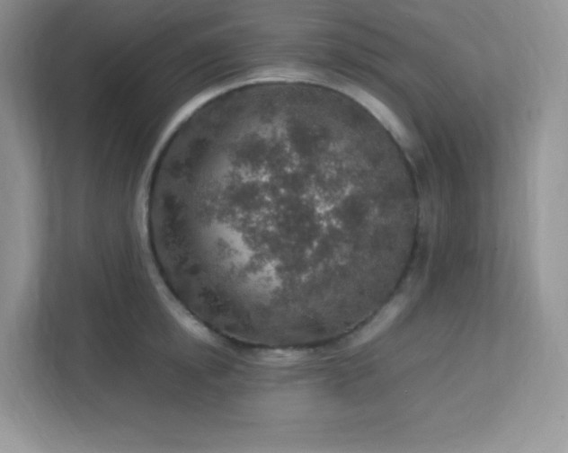 X0000113310854200909281123