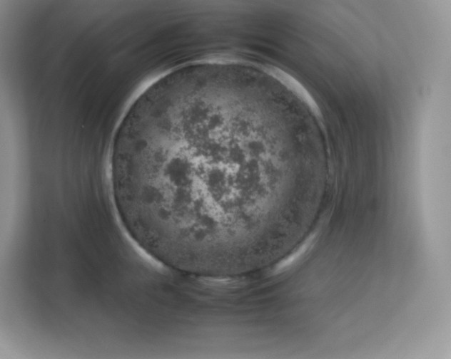 X0000113310855200909281123