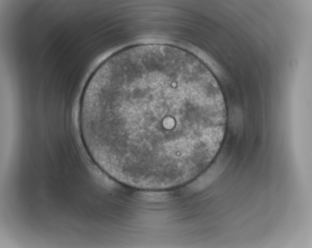 X0000113310856200909281123