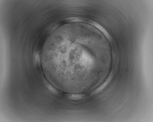 X0000113310857200909281123