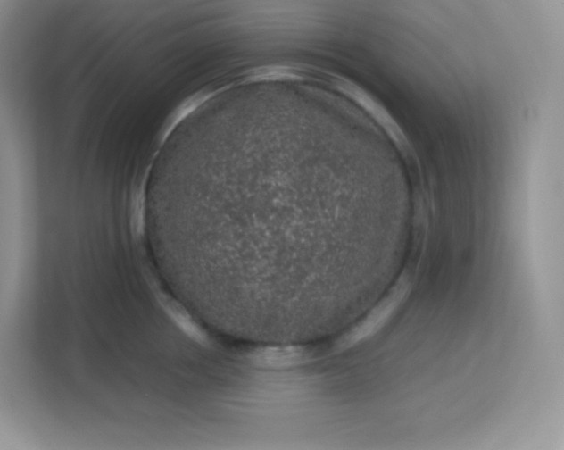 X0000113310858200909281123