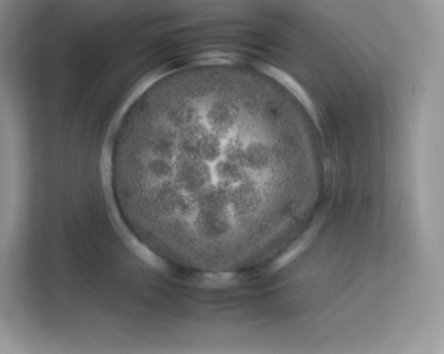 X0000113310859200909281123