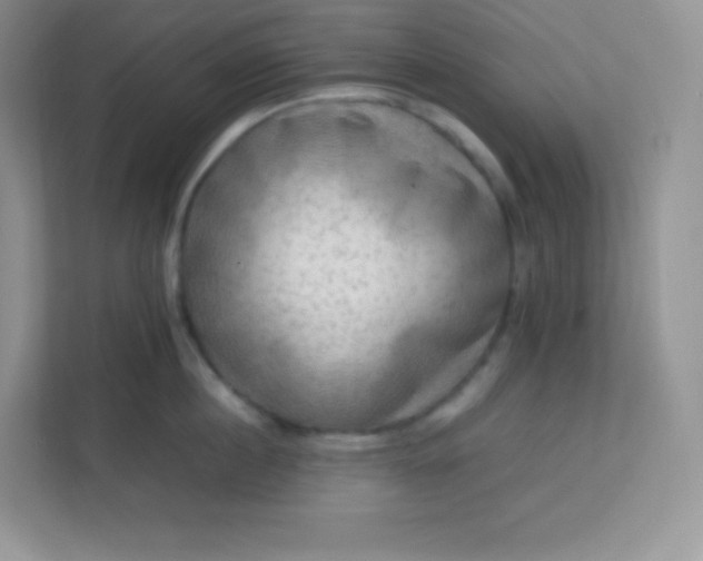 X0000113310860200909281123