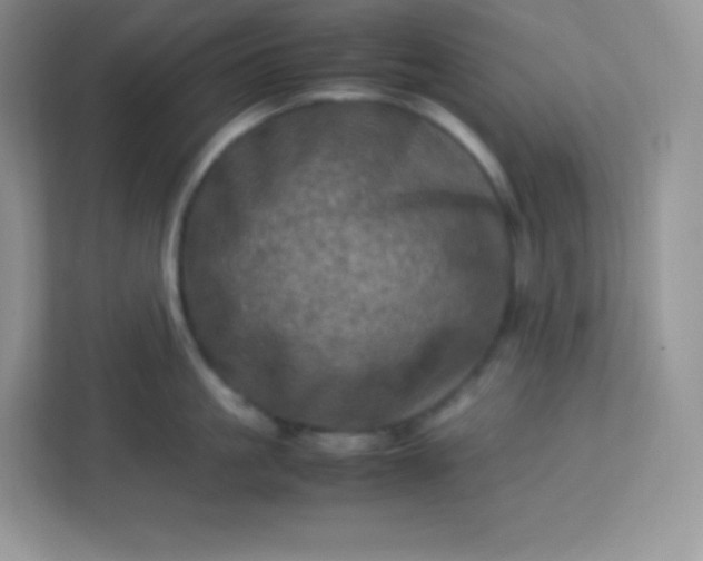 X0000113310861200909281123