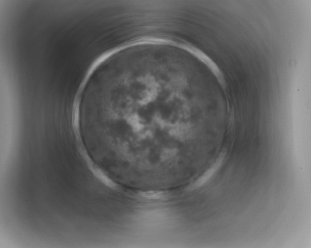 X0000113310862200909281123