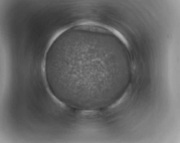 X0000113310863200909281123