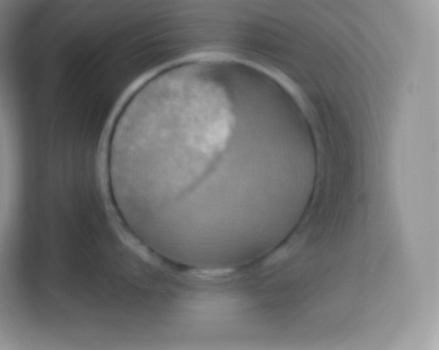 X0000113310864200909281123