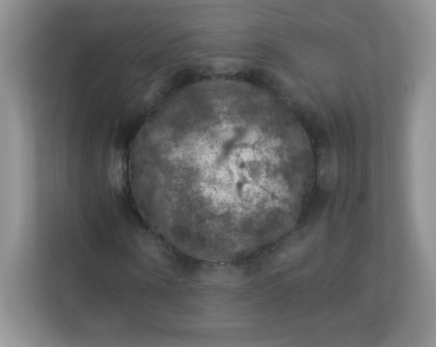 X0000113310866200909281122