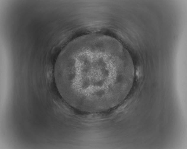 X0000113310867200909281122