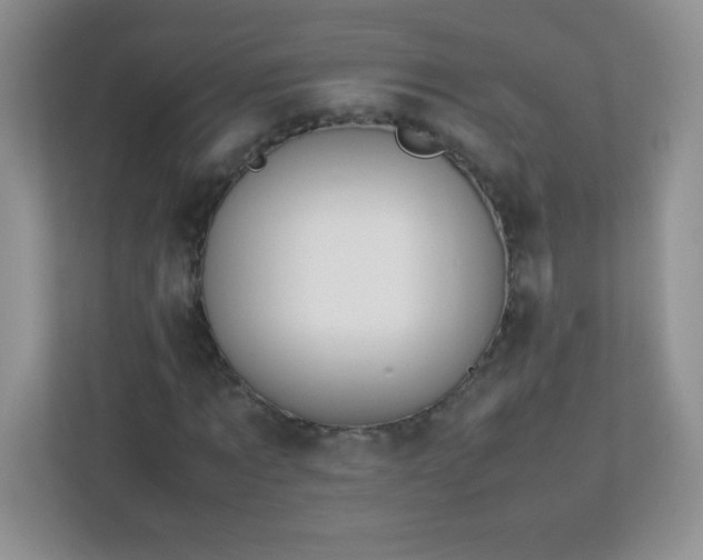 X0000113310869200909281122