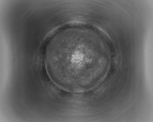 X0000113310870200909281122