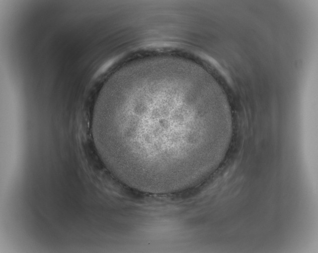 X0000113310871200909281122