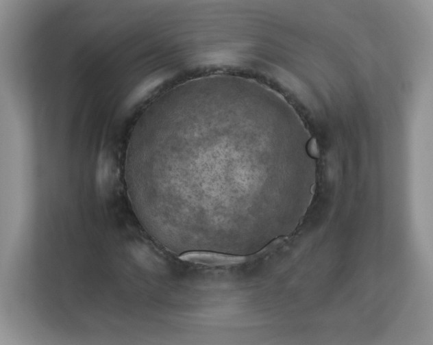 X0000113310872200909281122